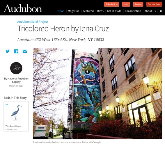  Audubon - Tricolored Heron by Iena Cruz